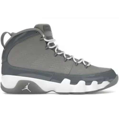 Air jordan 9 retro cool grey